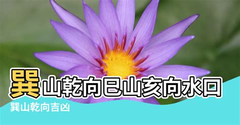 巽山乾向 九運|九運乾山巽向／亥山巳向宅運盤風水詳解